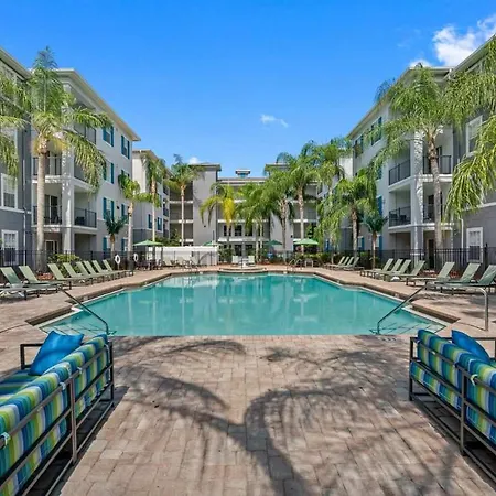 Modern Stay 1 Mile To Usf Pool Gym